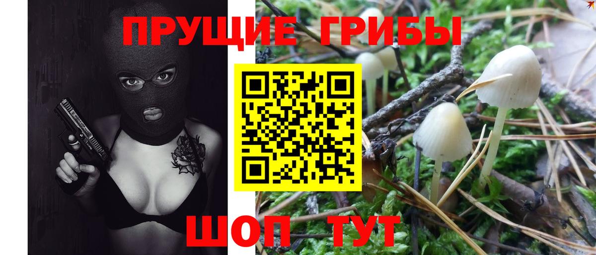 Владивосток  Псилоцибиновые грибы Psilocybine cubensis  Вход с VPN 